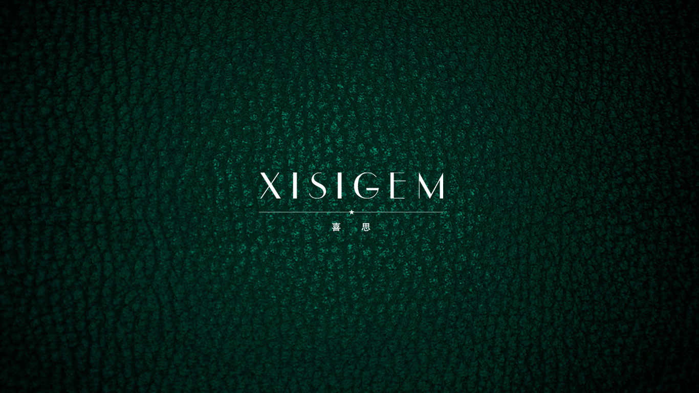 喜思原網(wǎng)站首頁設(shè)計(jì)——重慶網(wǎng)站建設(shè)公司(天蠶公司)